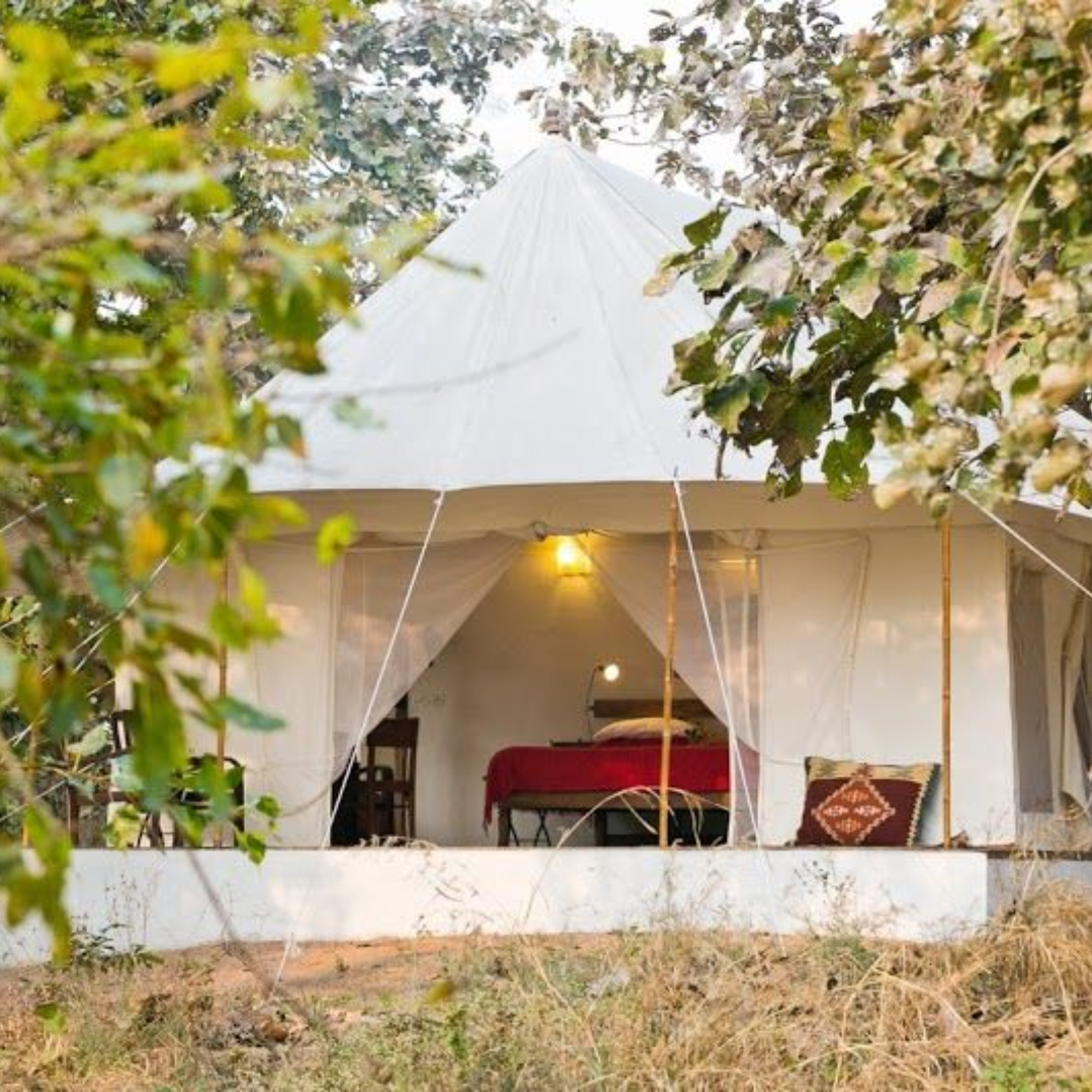 Special Mughal Tents